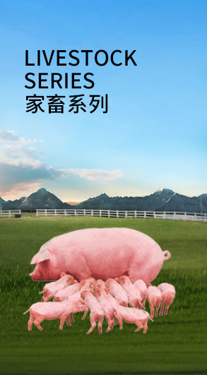 家畜米乐(中国)